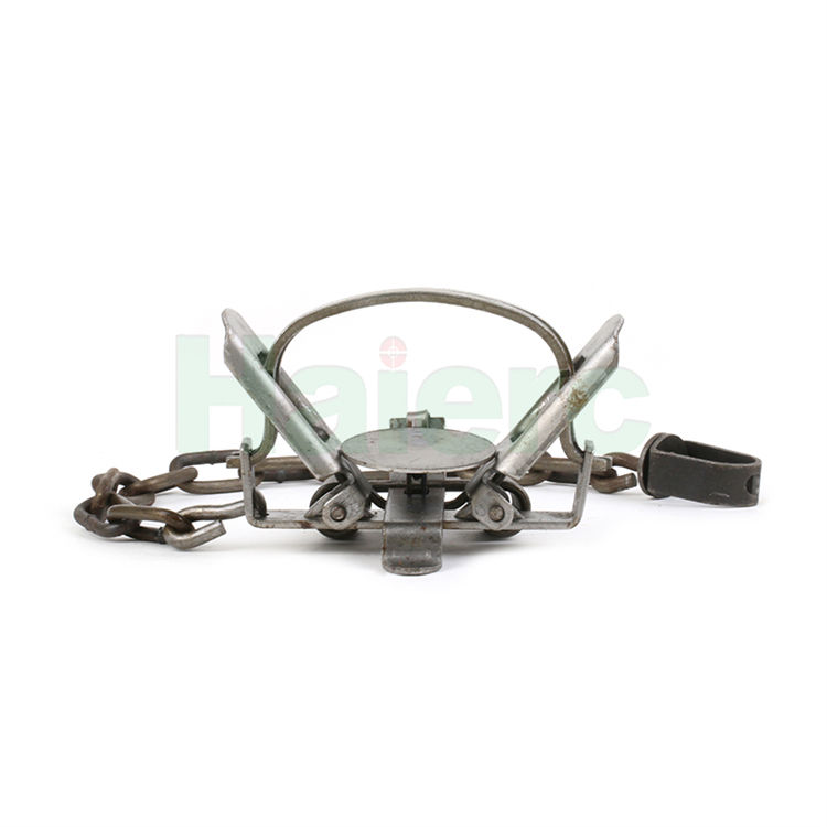 Dễ dàng bẫy chặng xuân HC2702M4