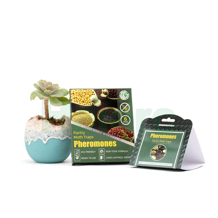Haierc Pantry Moth Trap Hot Sale Products Non-toxic
