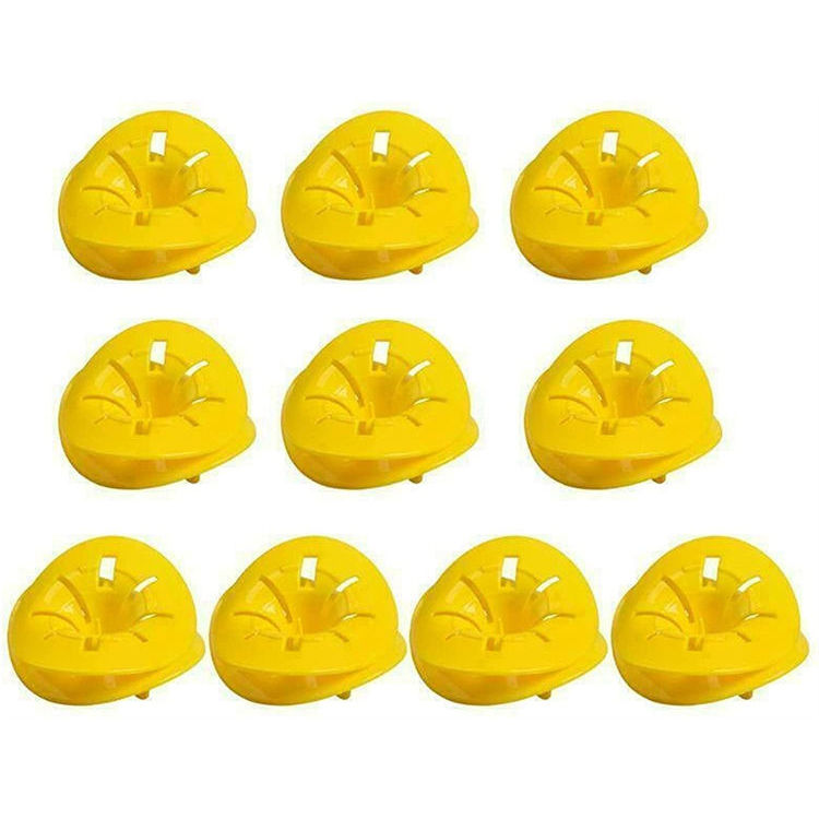 Bẫy Ong vò 10Pack ong có thể tái sử dụng trong nhà bẫy Ong Hornet treo cổ để bắt ong vàng