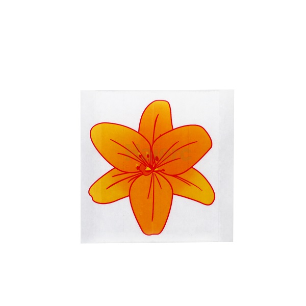 Haierc fly sticky traps fly catcher fly glue trap board flower fly trap HC4102