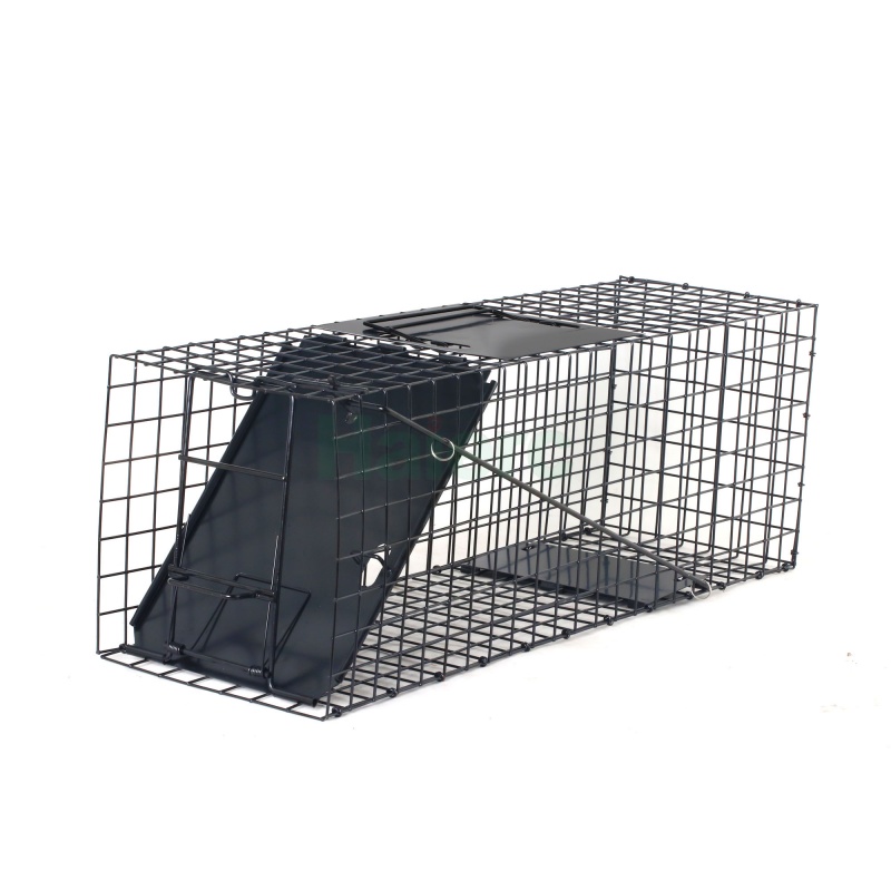 Lồng bẫy động vật sống có thể gấp gọn 62,5x21,5x19,1cm, lưới thép chịu lực cao, dùng để kiểm soát côn trùng và bắt các loài như mèo hoang, thỏ, gấu mèo, opossum.
