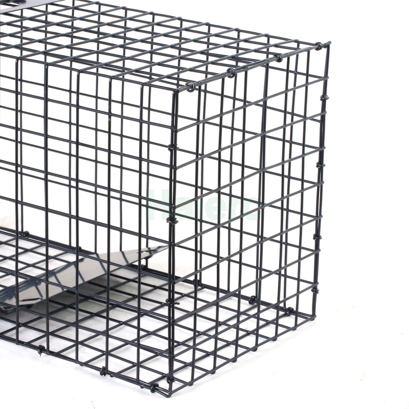 Lồng bẫy động vật sống có thể gấp gọn 62,5x21,5x19,1cm, lưới thép chịu lực cao, dùng để kiểm soát côn trùng và bắt các loài như mèo hoang, thỏ, gấu mèo, opossum.
