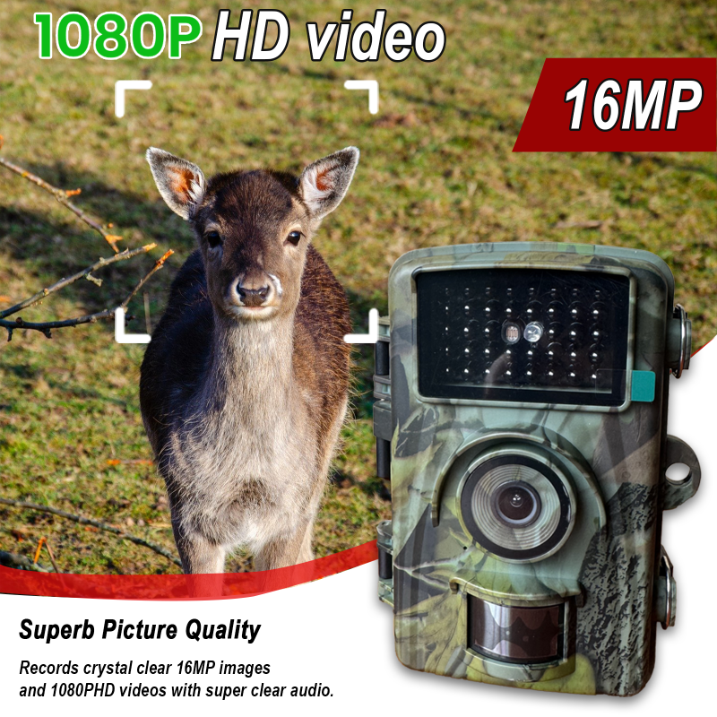 Máy quay săn bắn 1080P HD chống nước IP66, máy quay theo dõi đường đi có cảm biến chuyển động và chức năng nhìn đêm để giám sát động vật hoang dã