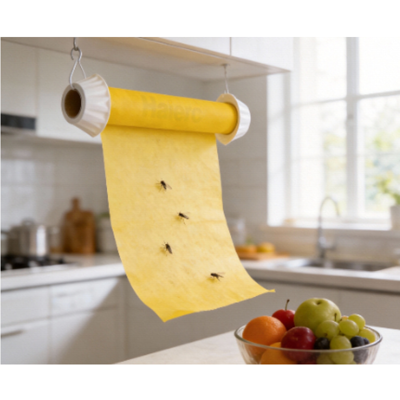 Bẫy ruồi dính nhựa Haierc, băng keo dính dùng một lần, bẫy côn trùng, bẫy ruồi chuyên nghiệp, bẫy ruồi dính thương mại