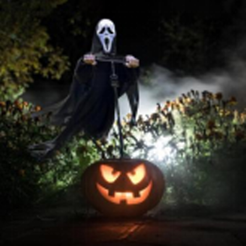 Bù nhìn đuổi chim ngoài trời kiểm soát dịch hại vườn, bù nhìn chân thật cho trang trại, vườn cây, sân HC1642